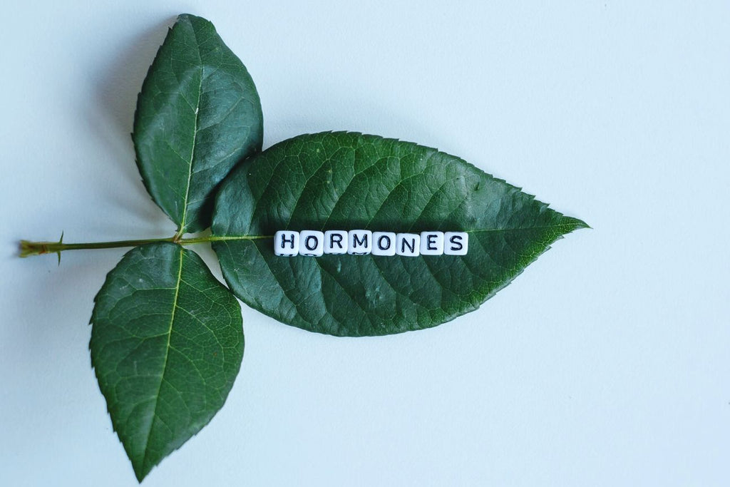 Hormones, Happiness & Health – a Brief Guide for Women